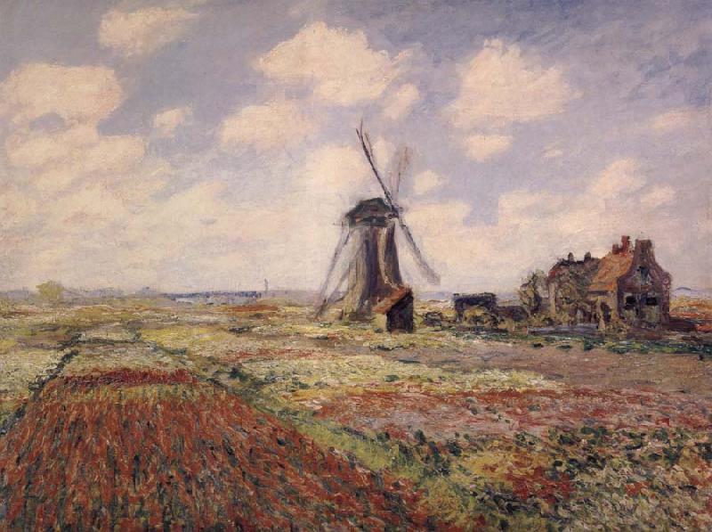 Claude Monet A Field of Tulips in Holland Norge oil painting art